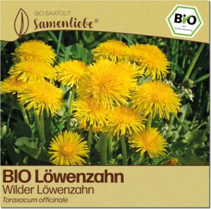 Samenliebe BIO Löwenzahn Samen