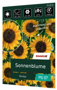 Im Onlineshop: Sonnenblume 'Soraya'