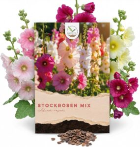 Stockrosen Samen bei Amazon bestellen