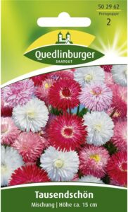 Tausendschön, Maßliebchen, Bellis perennis, ca. 200 Samen