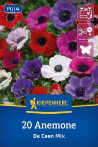 Kronen-Anemonen De Caen Mischung auf Amazon bestellen