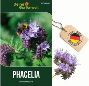Phacelia Büschelschön Samen - Phacelia tanacetifolia - Phaceliasamen - Blumensamen - Saatgut für 500 Pflanzen bei Amazon bestellen