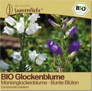 Glockenblumen Samen bei Amazon bestellen