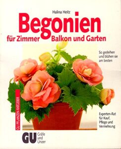 Begonien für Zimmer, Balkon und Garten