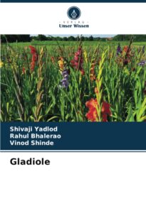 Gladiole