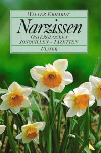 Narzissen - Osterglocken, Jonquillen, Tazetten
