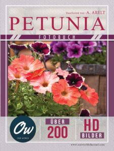 Petunie