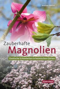 Zauberhafte Magnolien - Exotische Schönheiten in heimischen Gärten
